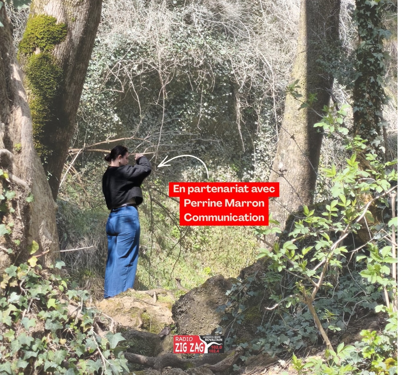 site perrine.jpg (797 KB)